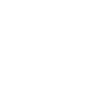 TÜV Referenz Artlive